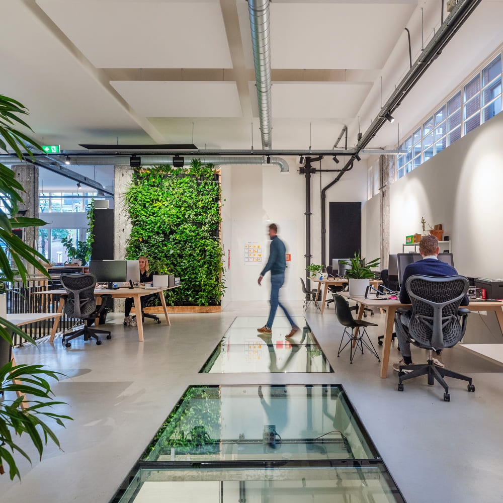 Robert Muntel financial consultancy